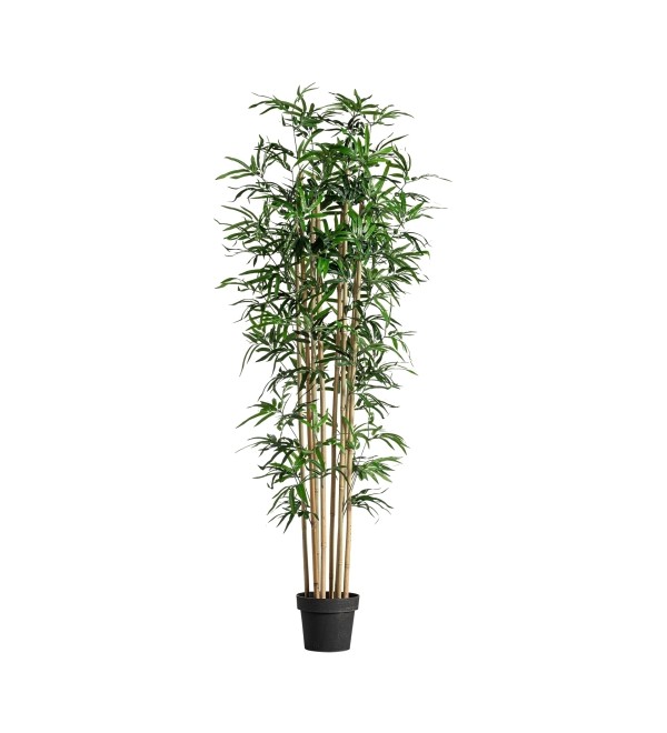 Искусственное растение BAMBU