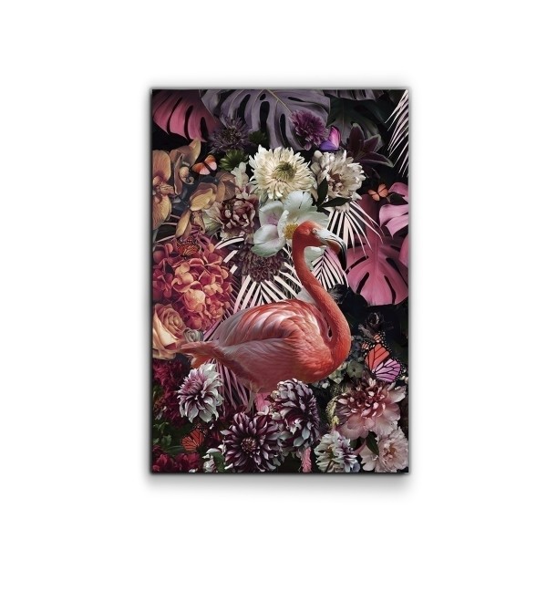 Фотография Flamenco 80x120