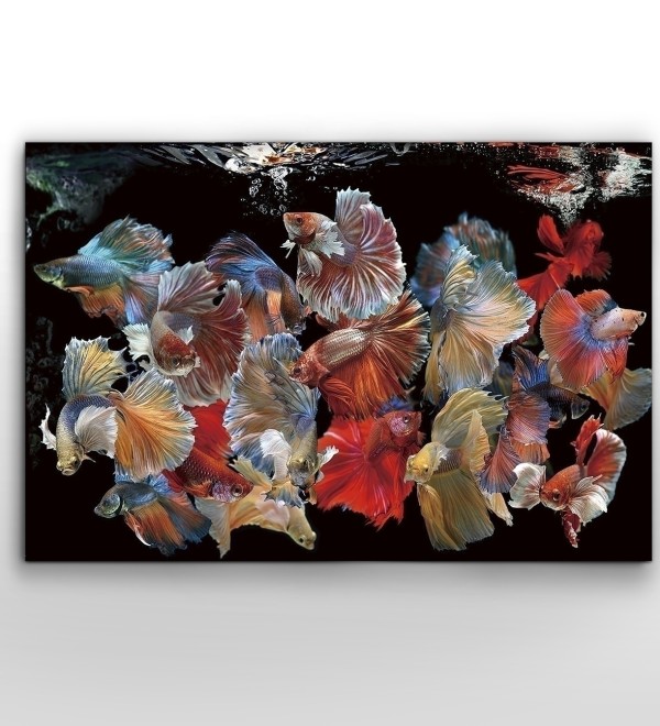 Фотография на стекле Peces Siam 150x100