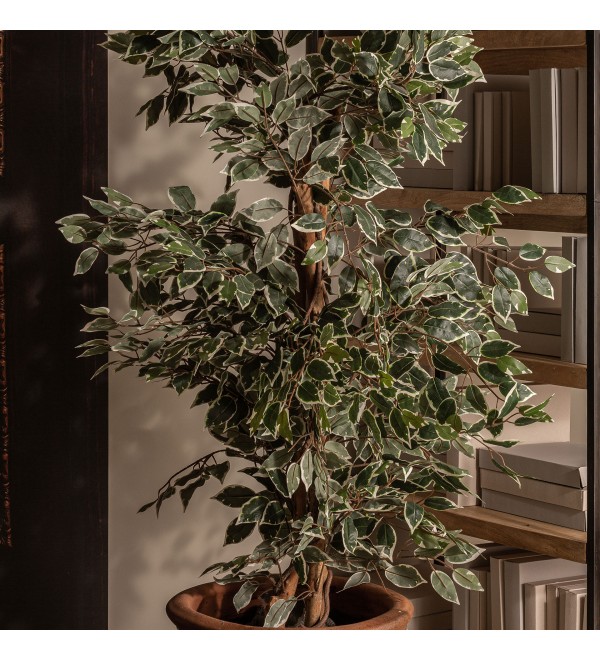 Искусственное растение FICUS