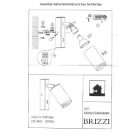 BR08079 Настенный светильник-спот ARAS