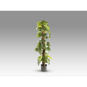 Taro Искусственное растение H150