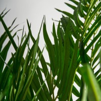 Пальмовое растение искусственное PALMERA