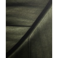 Фотография листа Foliae размер 32,5 x 42,5 см