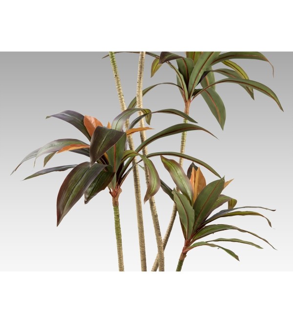Dracena roja Искусственное растение H220