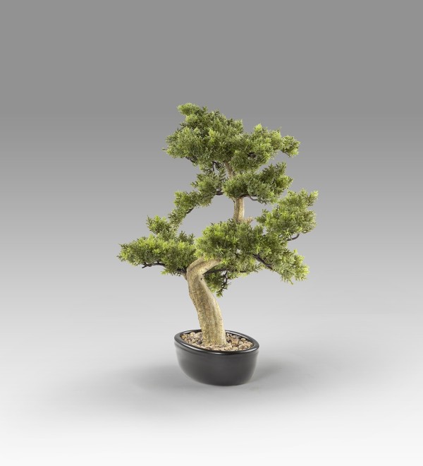 Bankan - bonsai 75cm Искусственное растение из 2 предметов