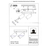 BR08083 Потолочный светильник-спот ARAS