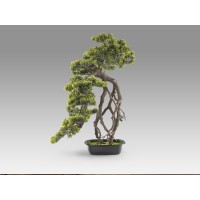 Kengai bonsai 74см Искусственное растение из 2 предметов