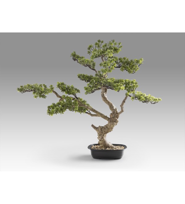 Sokan - bonsai 81cm Искусственное растение