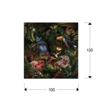 Фотография Selvatica 100x100 см