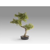 Bankan II bonsai 49cm набор из двух предметов