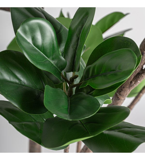 Искусственное растение FICUS 37727