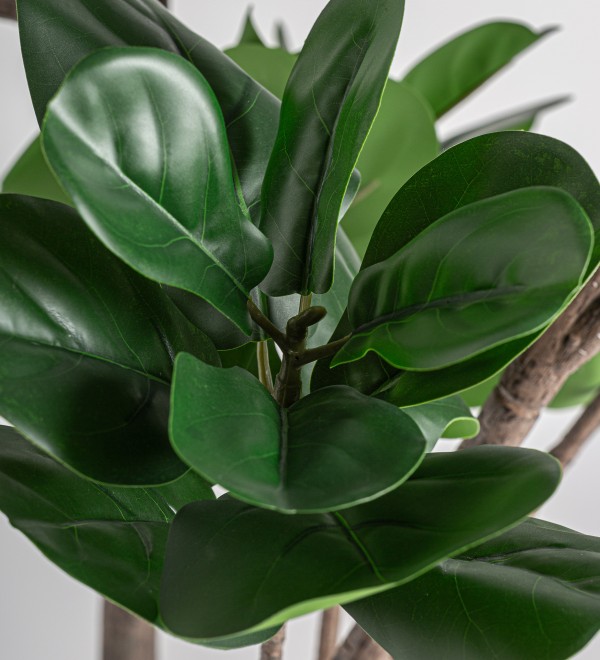 Искусственное растение FICUS 37727