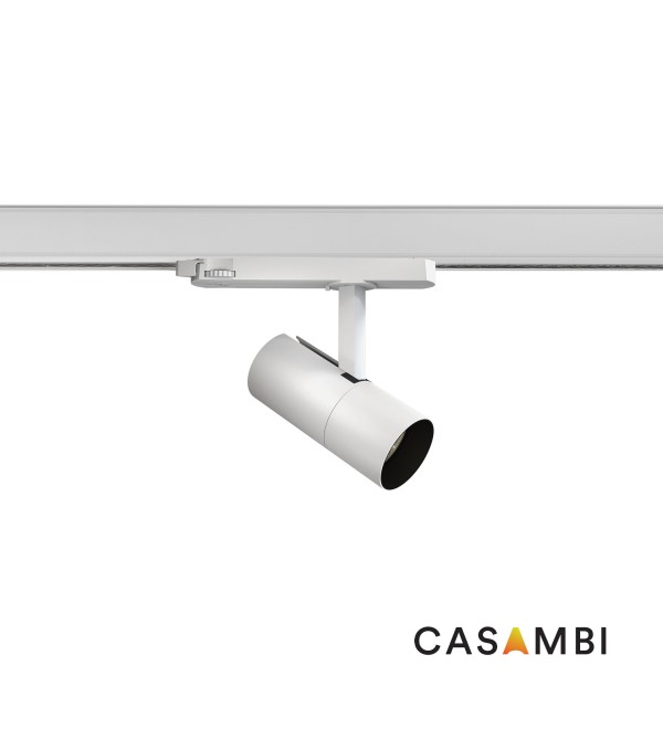 Встраиваемый светильник LINSE TRACK 20W белый 50є 4000K THRIVE CASAMBI