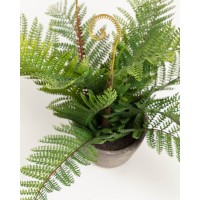 Flower Искусственный папоротник в горшке из цемента 35см