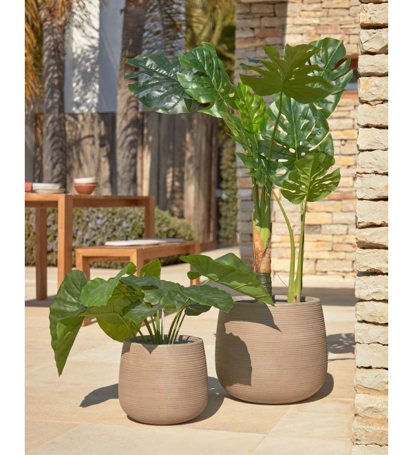 Искусственное растение Alocasia пахучая с черным горшком 57 см