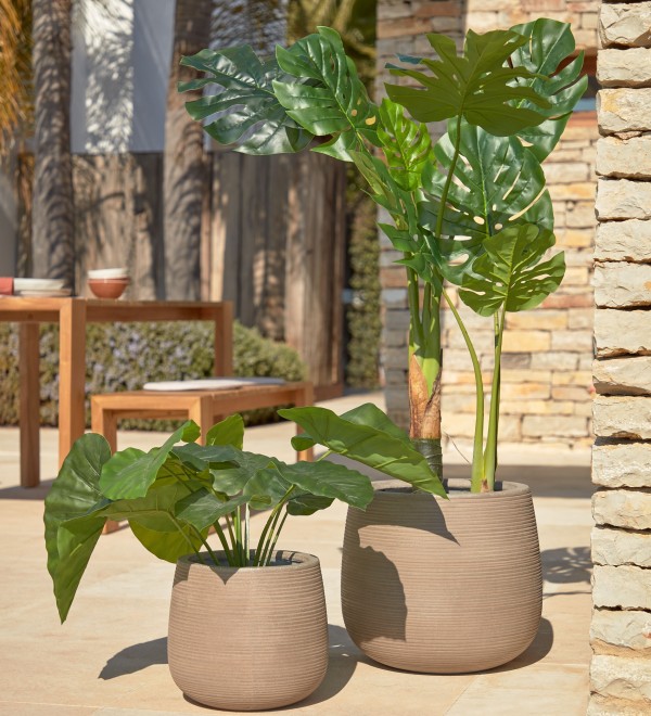 Искусственное растение Alocasia пахучая с черным горшком 57 см