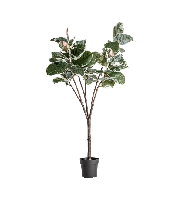 Искусственное растение ROBLE BLANCO