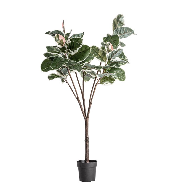 Искусственное растение ROBLE BLANCO