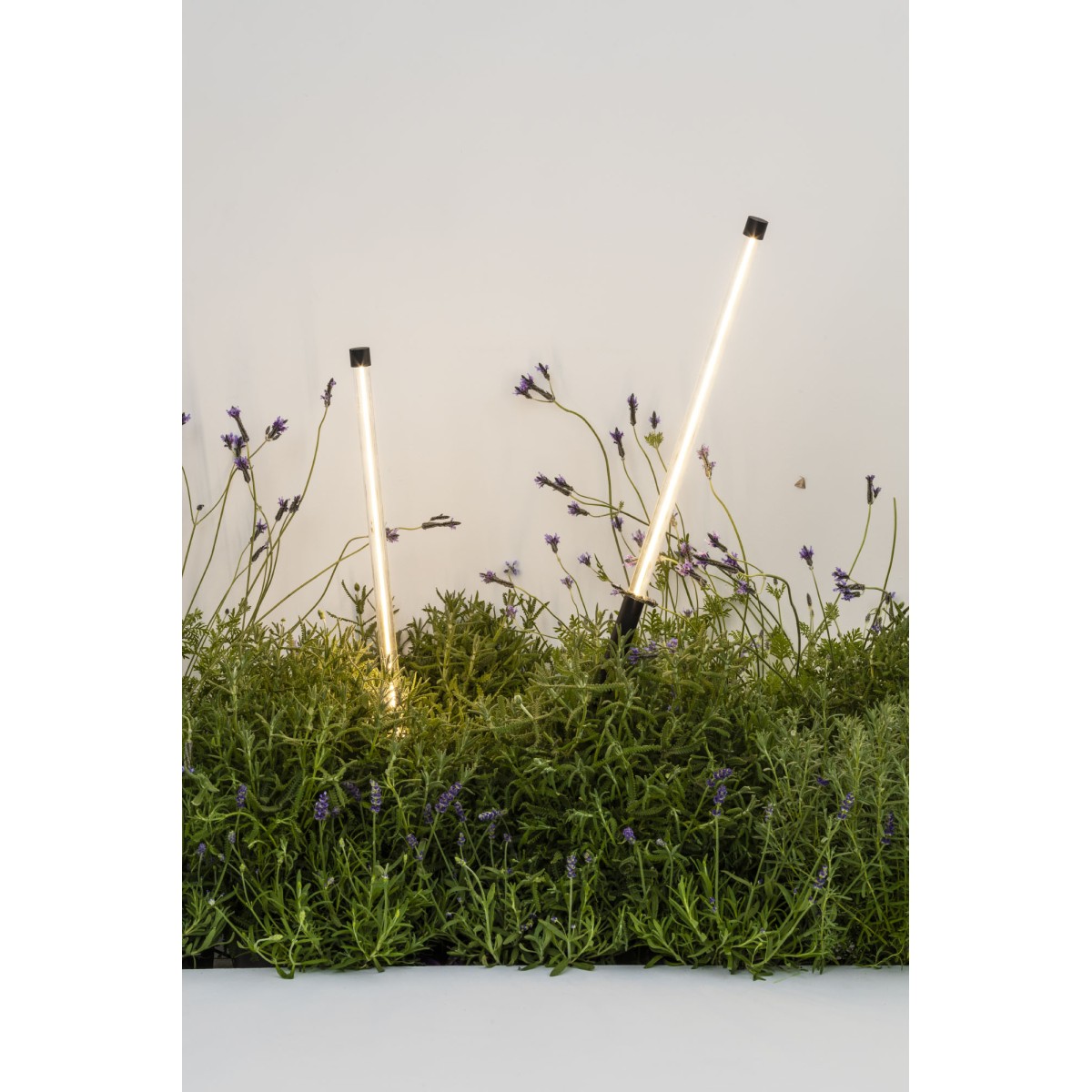 Лампа Bambou 1268 с шипом черная LED 8W 2200K