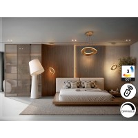 Mirena Люстра 1L розовое золото D50
