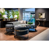 Кресло Vivienne TIMELESS SALE, FRATELLI BARRI (серый, серебристый)