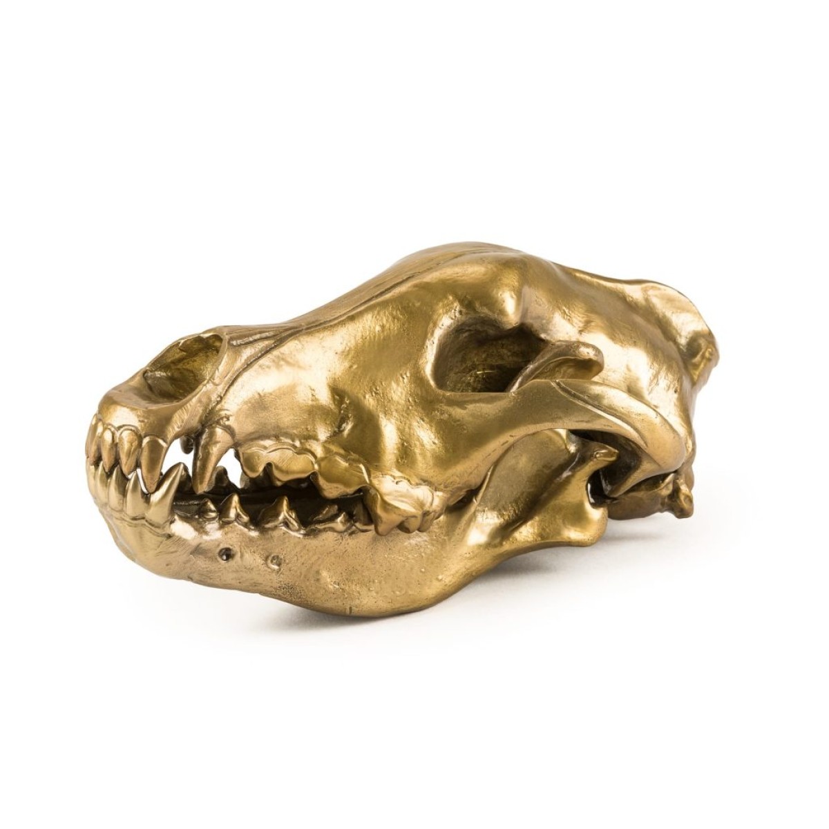 Статуэтка Seletti Wunderkammer Wunderkrammer Wolf Skull