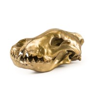 Статуэтка Seletti Wunderkammer Wunderkrammer Wolf Skull