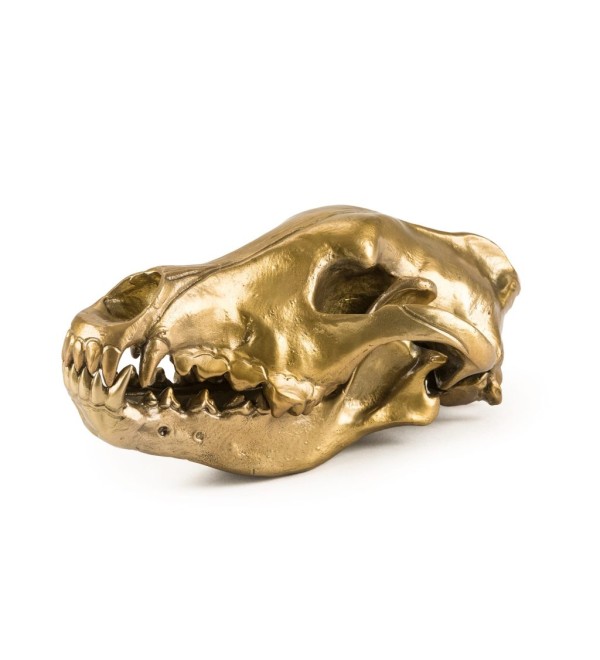 Статуэтка Seletti Wunderkammer Wunderkrammer Wolf Skull