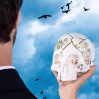 Статуэтка Seletti Kintsugi Skull