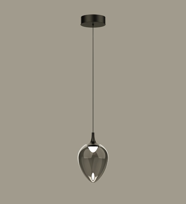 Подвесной светильник Delight Collection MD24001012-1A black/smoky