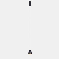 Подвесной светильник Delight Collection P0184-75A Black and Gold