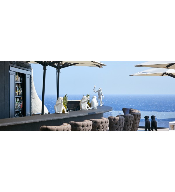Подвесной светильник Seletti Monkey Lamp Ceiling