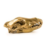Статуэтка Seletti Wunderkammer Wunderkrammer Wolf Skull