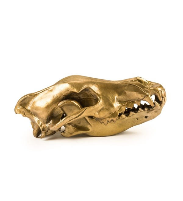 Статуэтка Seletti Wunderkammer Wunderkrammer Wolf Skull