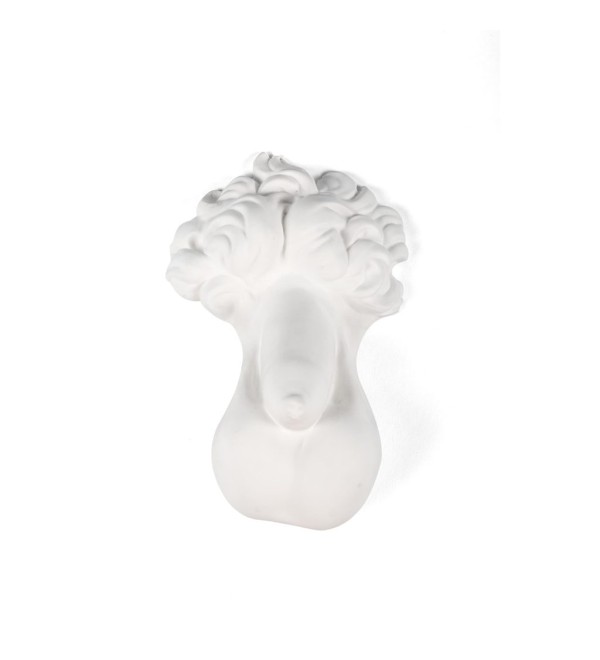 Статуэтка Seletti Memorabilia Mvsevm Penis