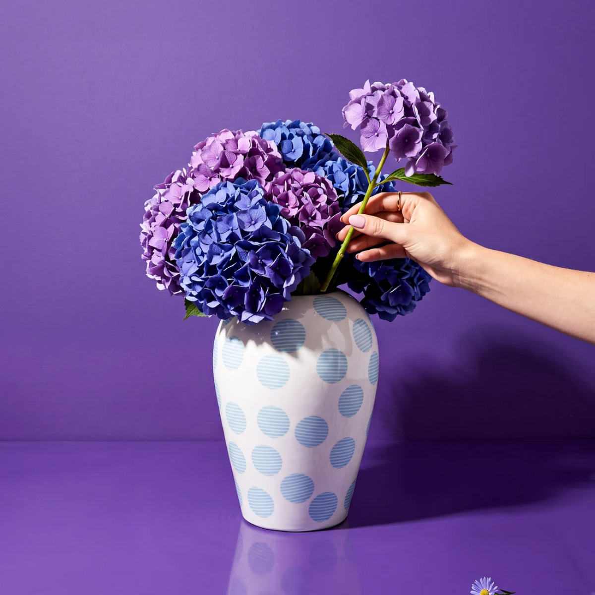 Ваза Seletti Canopie Kiki