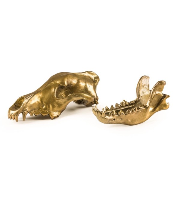 Статуэтка Seletti Wunderkammer Wunderkrammer Wolf Skull