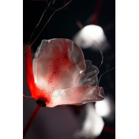 Подвесной светильник Slamp Poppy 14