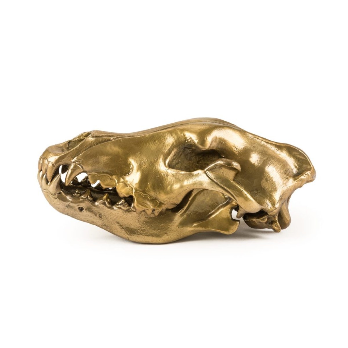 Статуэтка Seletti Wunderkammer Wunderkrammer Wolf Skull