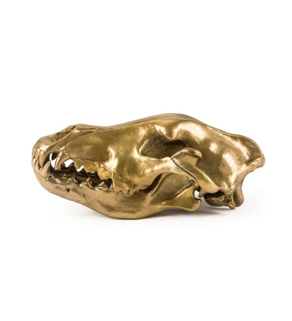 Статуэтка Seletti Wunderkammer Wunderkrammer Wolf Skull