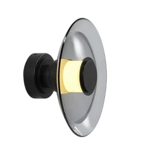 Настенный/Потолочный светильник Delight Collection 8665W/L black/smoky