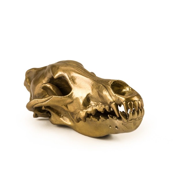 Статуэтка Seletti Wunderkammer Wunderkrammer Wolf Skull