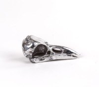 Статуэтка Seletti Wunderkammer Bird Skull
