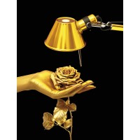 Настольная лампа Artemide Tolomeo Micro Gold