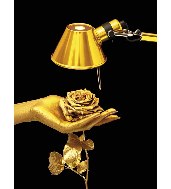 Настольная лампа Artemide Tolomeo Micro Gold