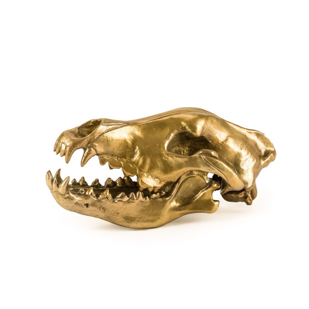 Статуэтка Seletti Wunderkammer Wunderkrammer Wolf Skull