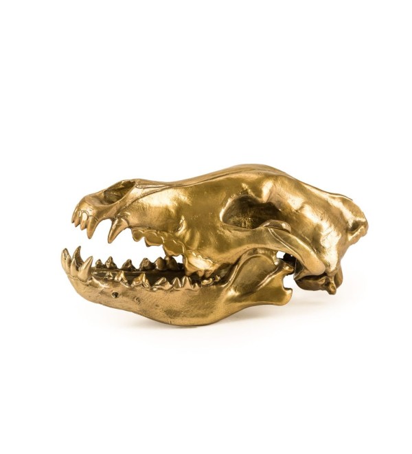 Статуэтка Seletti Wunderkammer Wunderkrammer Wolf Skull