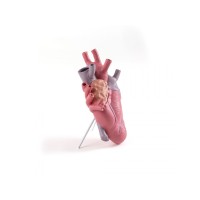 Ваза Seletti Love in Bloom Color