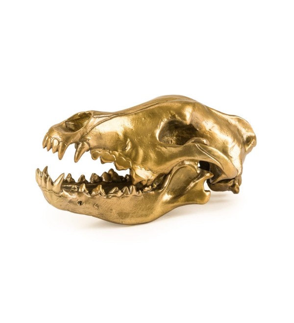 Статуэтка Seletti Wunderkammer Wunderkrammer Wolf Skull